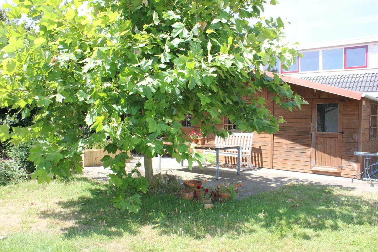 Bluesheep-Texel Bed and Breakfast De Koog  Εξωτερικό φωτογραφία